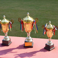 trophy-time-can-a-crm-campaign-make-the-difference-for-dinn-image